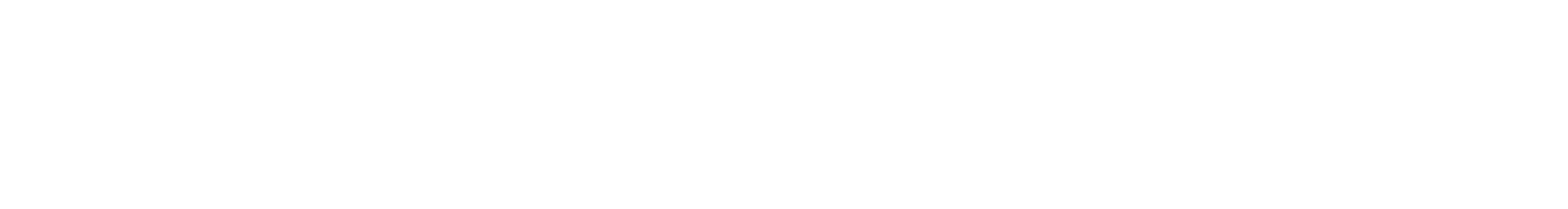 north america travel service logo